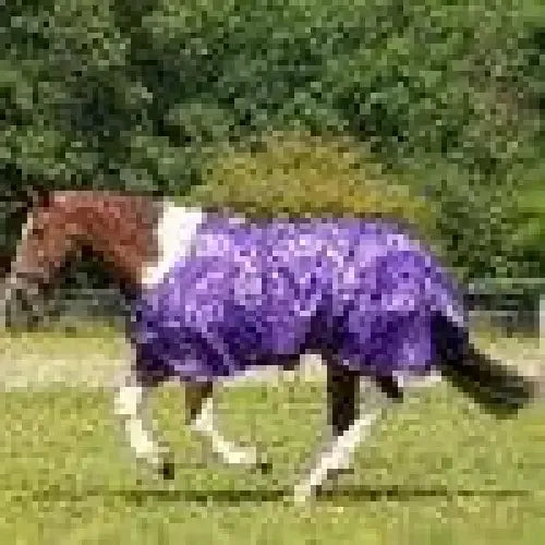 Gallop Trojan Bits of Luck 0g Lightweight Turnout Rugs Standard Neck 5'6" Turnout Rugs