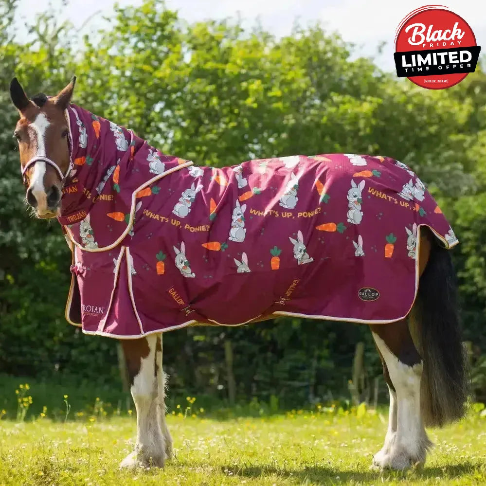 Gallop Trojan Bunnies And Carrots 50G Dual Rug & Neck Turnout Set 6'3" Turnout Rugs