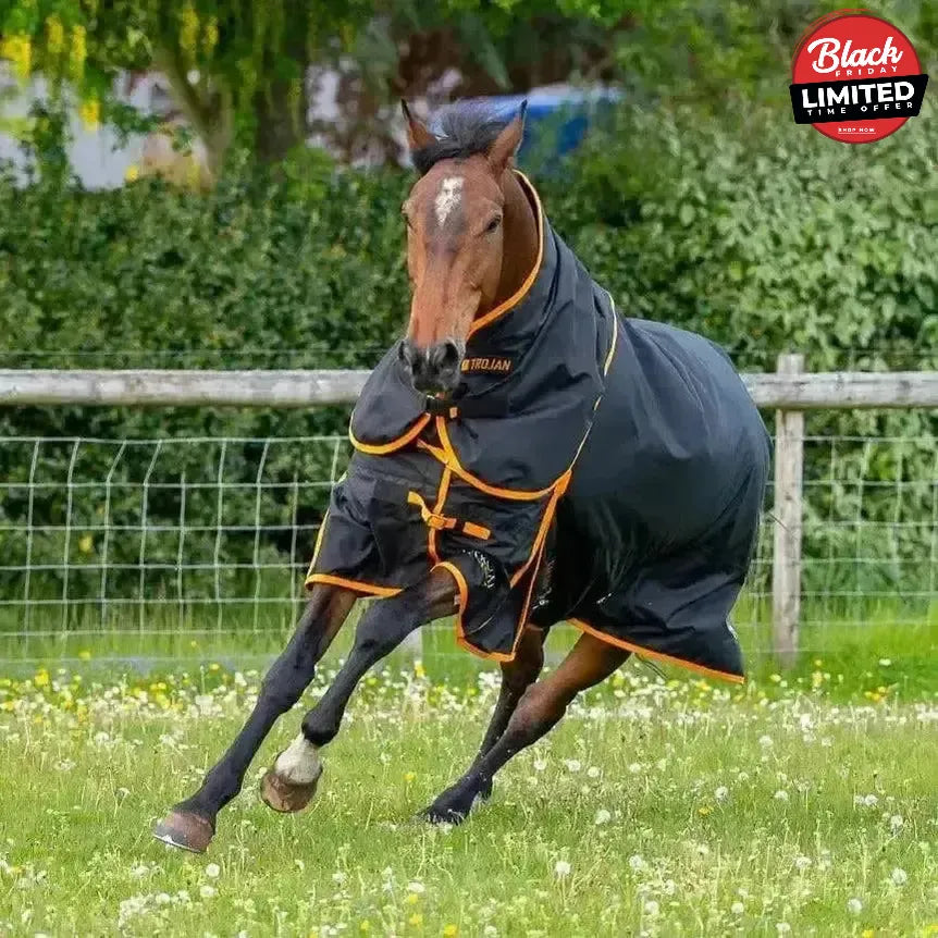 Gallop Trojan Dual 100g Detachable Neck Turnout Rug Navy/Orange 5'3" Turnout Rugs