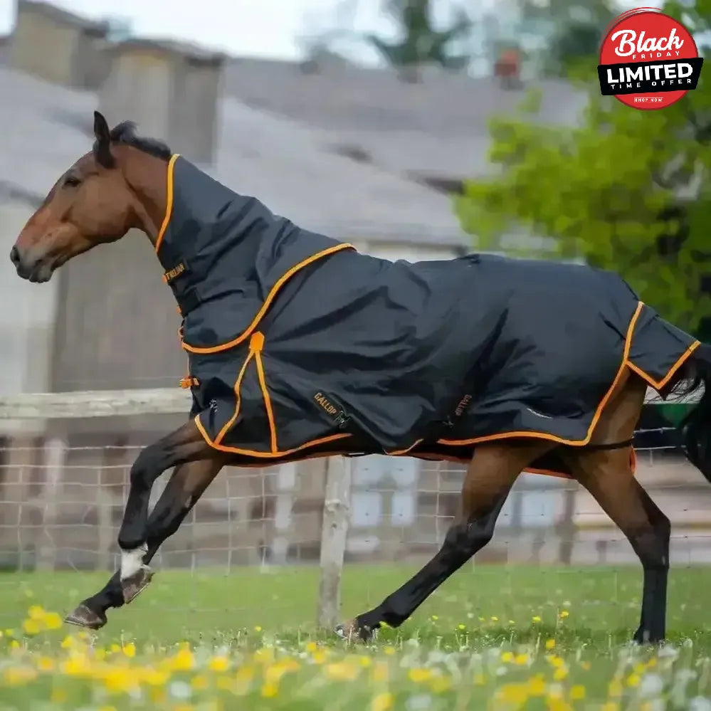 Gallop Trojan Dual 100g Detachable Neck Turnout Rug Navy/Orange 5'3" Turnout Rugs