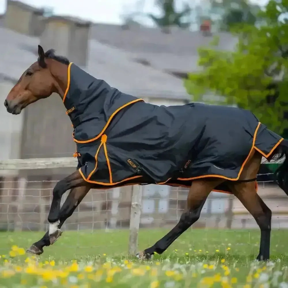 Gallop Trojan Dual 100g Detachable Neck Turnout Rug Navy/Orange 5'3" Turnout Rugs