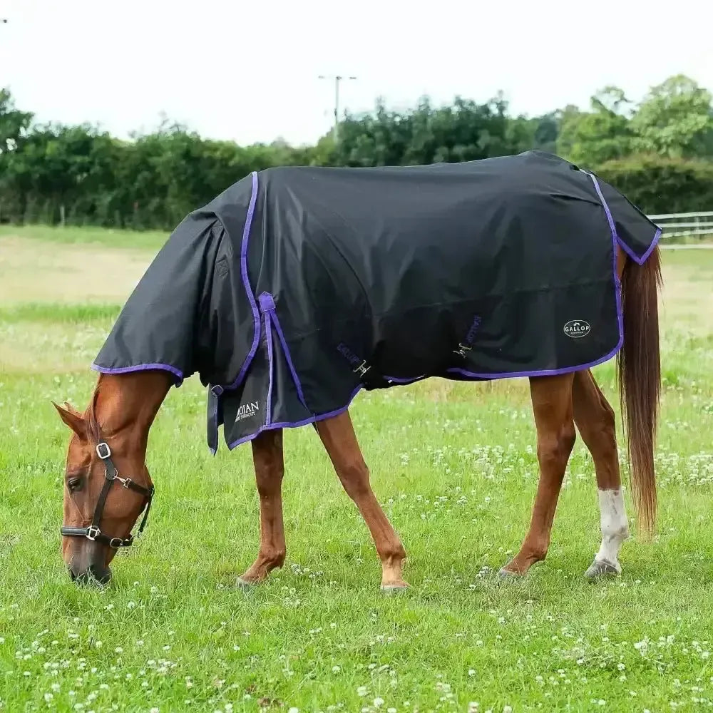 Gallop Trojan Dual Lightweight 0g Turnout Rug & Neck Set Horse Rug Navy/Purple Bindings 5'3" Turnout Rugs