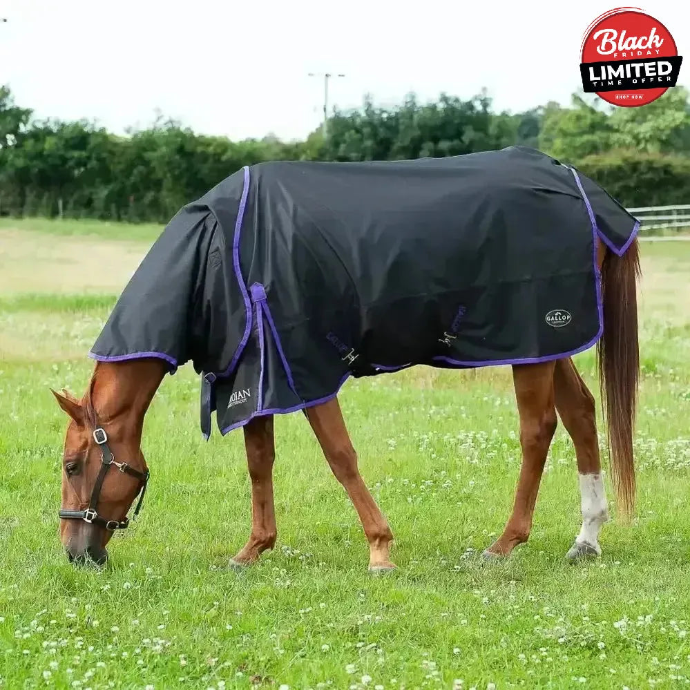 Gallop Trojan Dual Lightweight 0g Turnout Rug & Neck Set Horse Rug Navy/Purple Bindings 5'3" Turnout Rugs