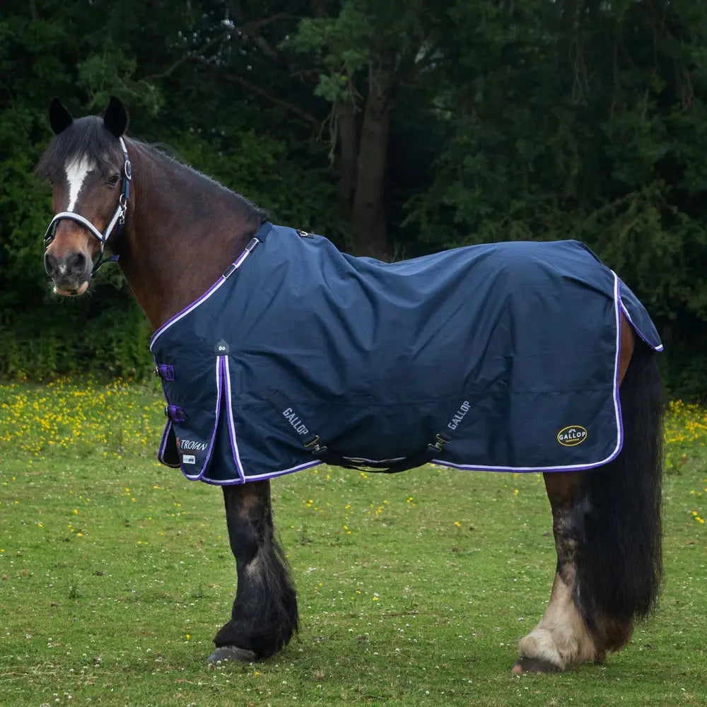 Navy blue gallop trojan duraproof lightweight turnout with purple trim reflective stitching and shoulder pleat detail