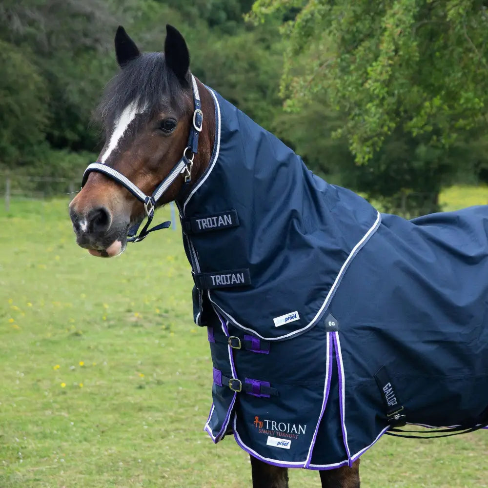 Dark blue gallop trojan duraproof lightweight turnout navy blanket with purple trim white stitching and shoulder pleat