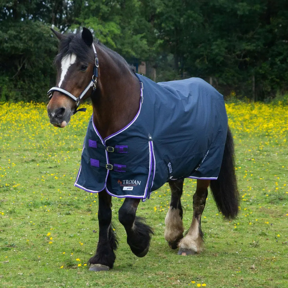 Dark blue gallop trojan duraproof lightweight turnout navy blanket with purple trim shoulder pleat and buckles