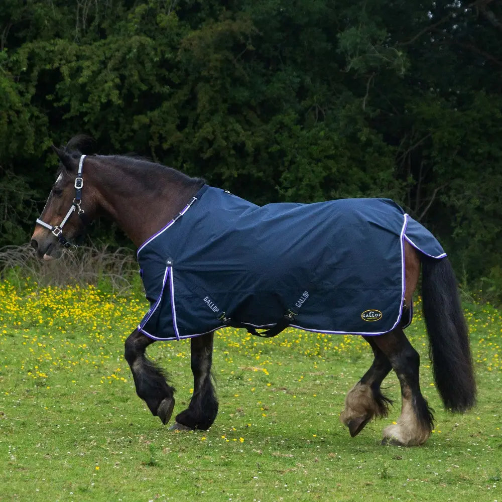 Navy blue gallop trojan duraproof lightweight turnout with white trim and shoulder pleat for horses