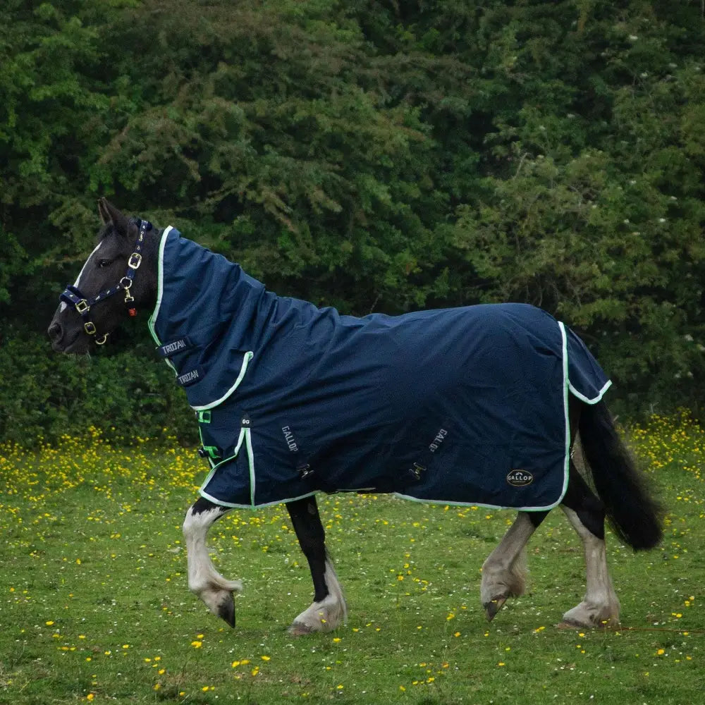 Navy blue gallop trojan duraproof lightweight turnout combo with light green trim and fixed neck shown from back side