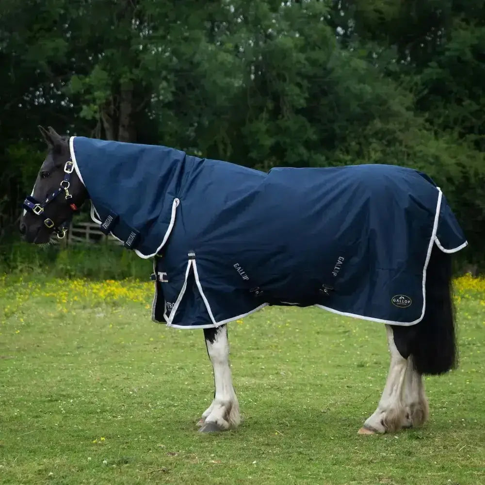 Navy blue waterproof gallop trojan duraproof 100g combo turnout rug with white trim and black buckles side view