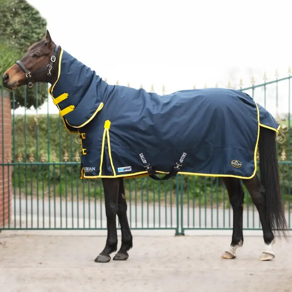 Navy blue and yellow gallop trojan duraproof 200g combo horse blanket with reflective trim and adjustable straps