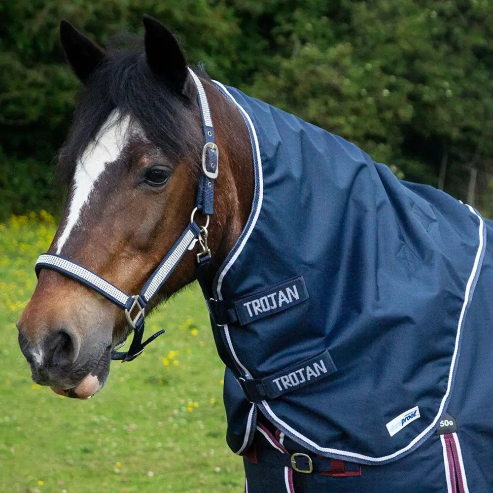 Navy gallop trojan duraproof lightweight neck cover with white trim and black brand patches for durable comfort