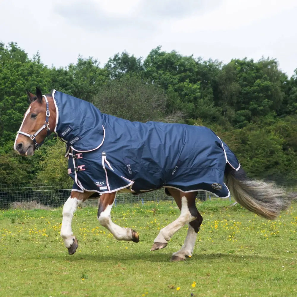 Navy blue gallop trojan duraproof 50g turnout combo rug with white trim pink accents and brand logo on side