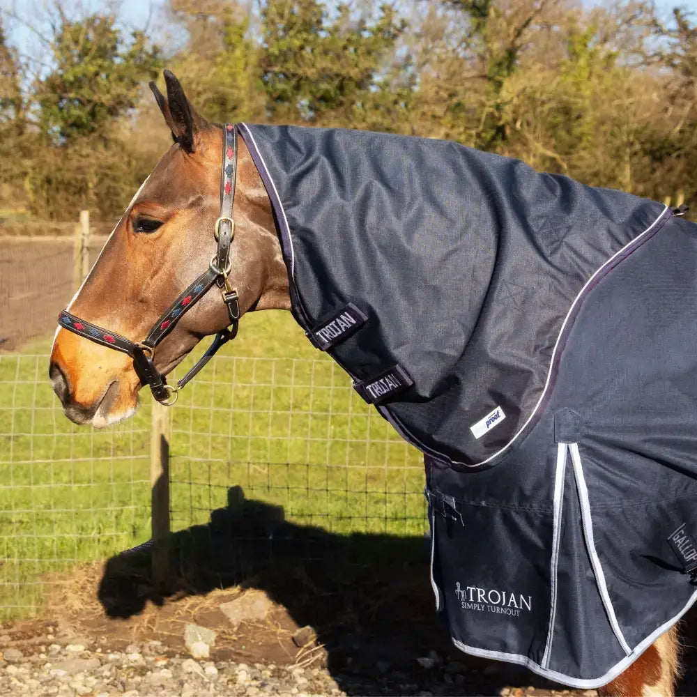 Dark navy blue gallop trojan duraproof neck cover 150g 5-point with white trim and brand logo hood