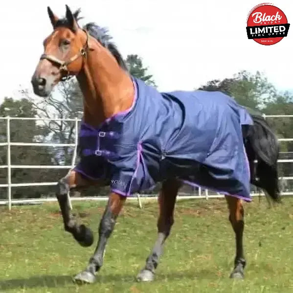 Gallop Trojan Lightweight 0g Standard Neck Turnout Rug 5'6" Turnout Rugs