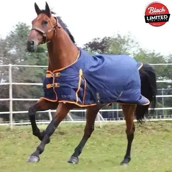 Gallop Trojan Lightweight 100g Standard Neck Turnout Rugs 5'6" Turnout Rugs