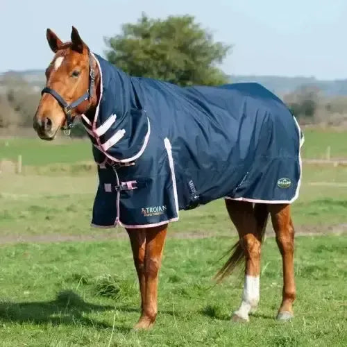 Gallop Trojan Lightweight 50g Combo Turnout Rug 5'6" Turnout Rugs