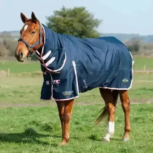 Gallop Trojan Lightweight 50g Combo Turnout Rug 5'6" Turnout Rugs