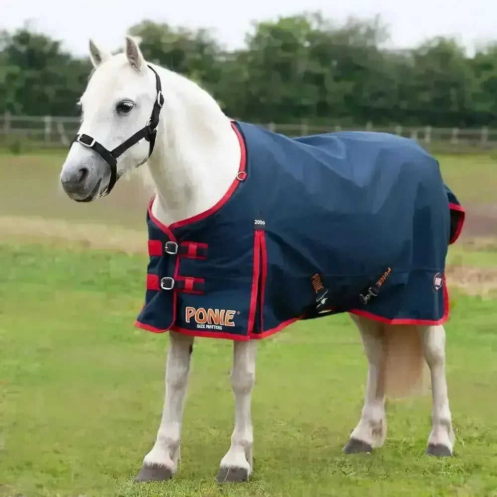 Gallop Trojan Ponie 200g Turnout Rug Medium Weight Standard Neck 3'6" Turnout Rugs