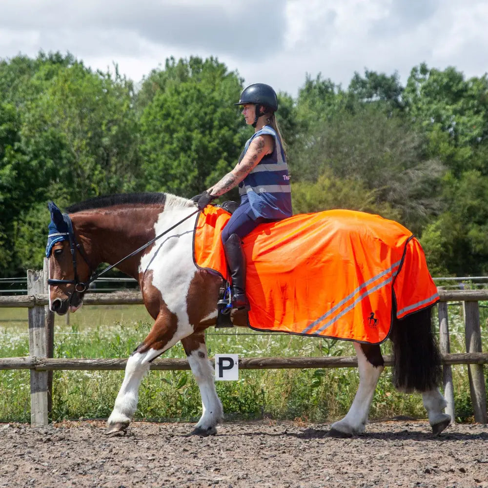 Bright orange gallop trojan retro reflective mesh exercise sheet with tail flap and reflective stripes for equestrian safety