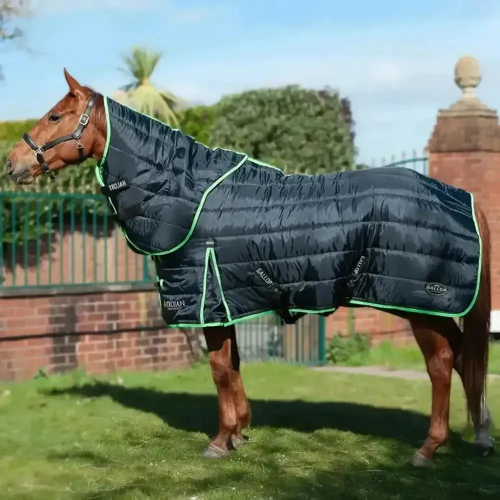 Gallop Trojan Stable Rug 300g Dual Heavy Weight Neck Set Black/Green 5'6" Stable Rugs
