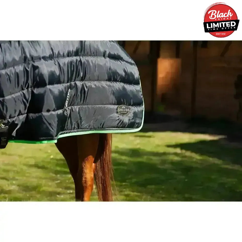 Gallop Trojan Stable Rug 300g Dual Heavy Weight Neck Set Black/Green 5'6" Stable Rugs