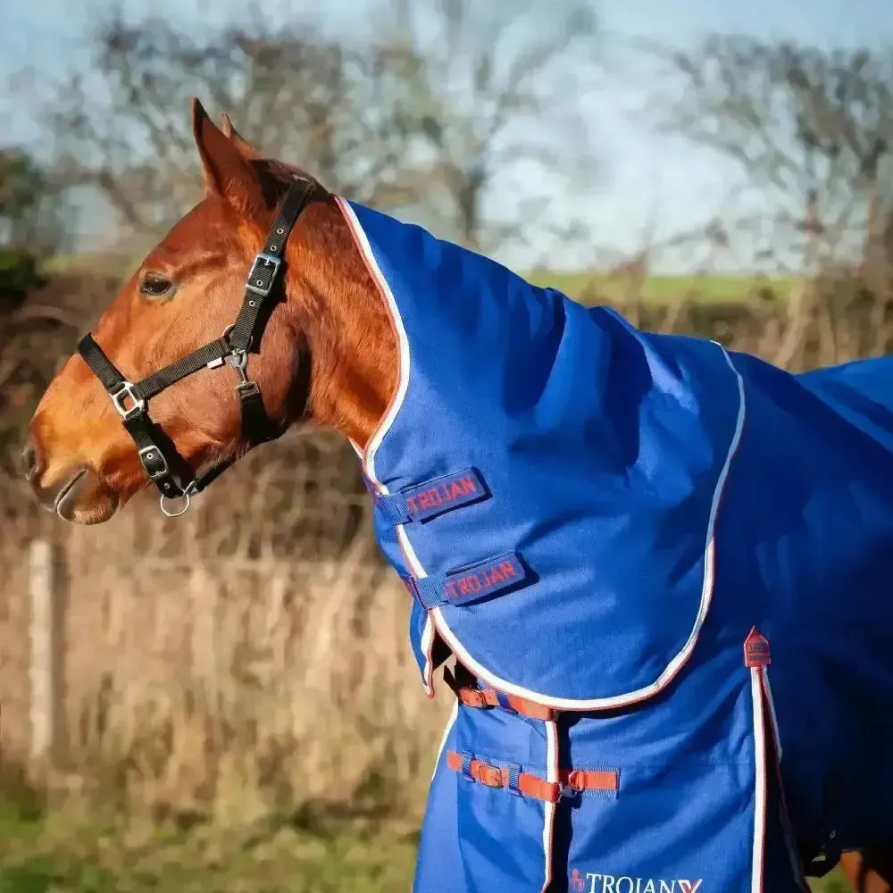 Gallop Trojan Xtra 200g Medium Weight Dual Turnout Rugs With Detachable Necks Royal Blue/Red Bindings 5'6" Turnout Rugs