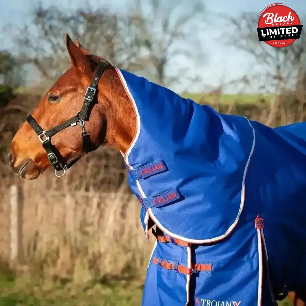 Gallop Trojan Xtra 200g Medium Weight Dual Turnout Rugs With Detachable Necks Royal Blue/Red Bindings 5'6" Turnout Rugs