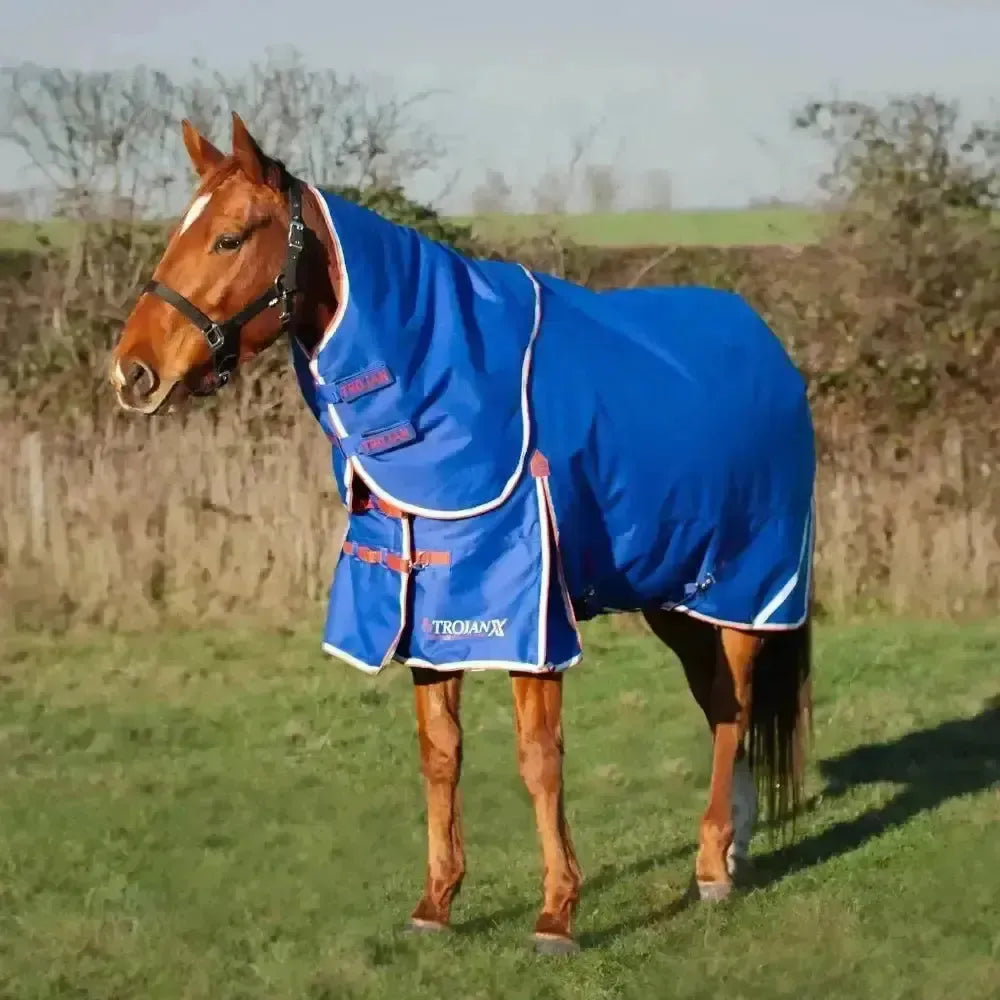 Gallop Trojan Xtra 200g Medium Weight Dual Turnout Rugs With Detachable Necks Royal Blue/Red Bindings 5'6" Turnout Rugs