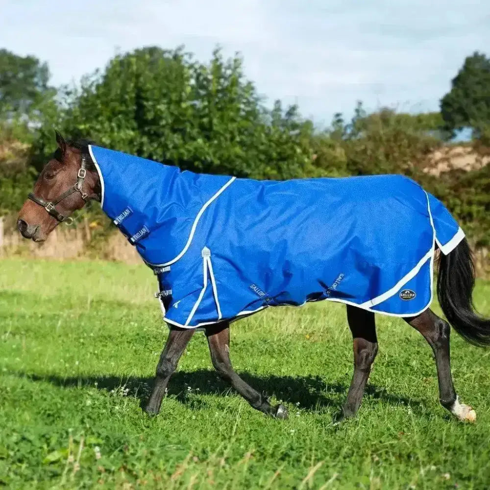 Bright blue gallop trojan xtra 300g heavy weight horse blanket with white trim and detachable neck feature