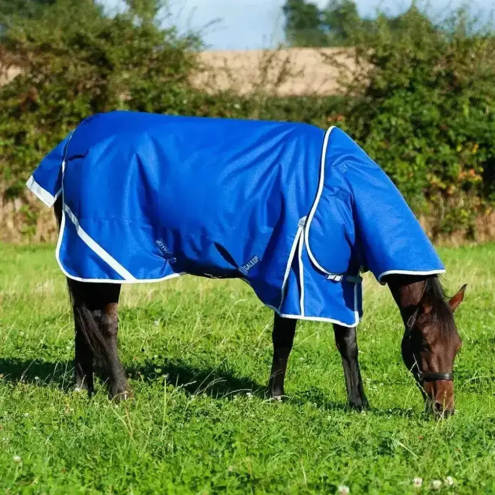 Bright blue gallop trojan xtra 300g heavy weight horse blanket with white trim and detachable neck for equestrian use