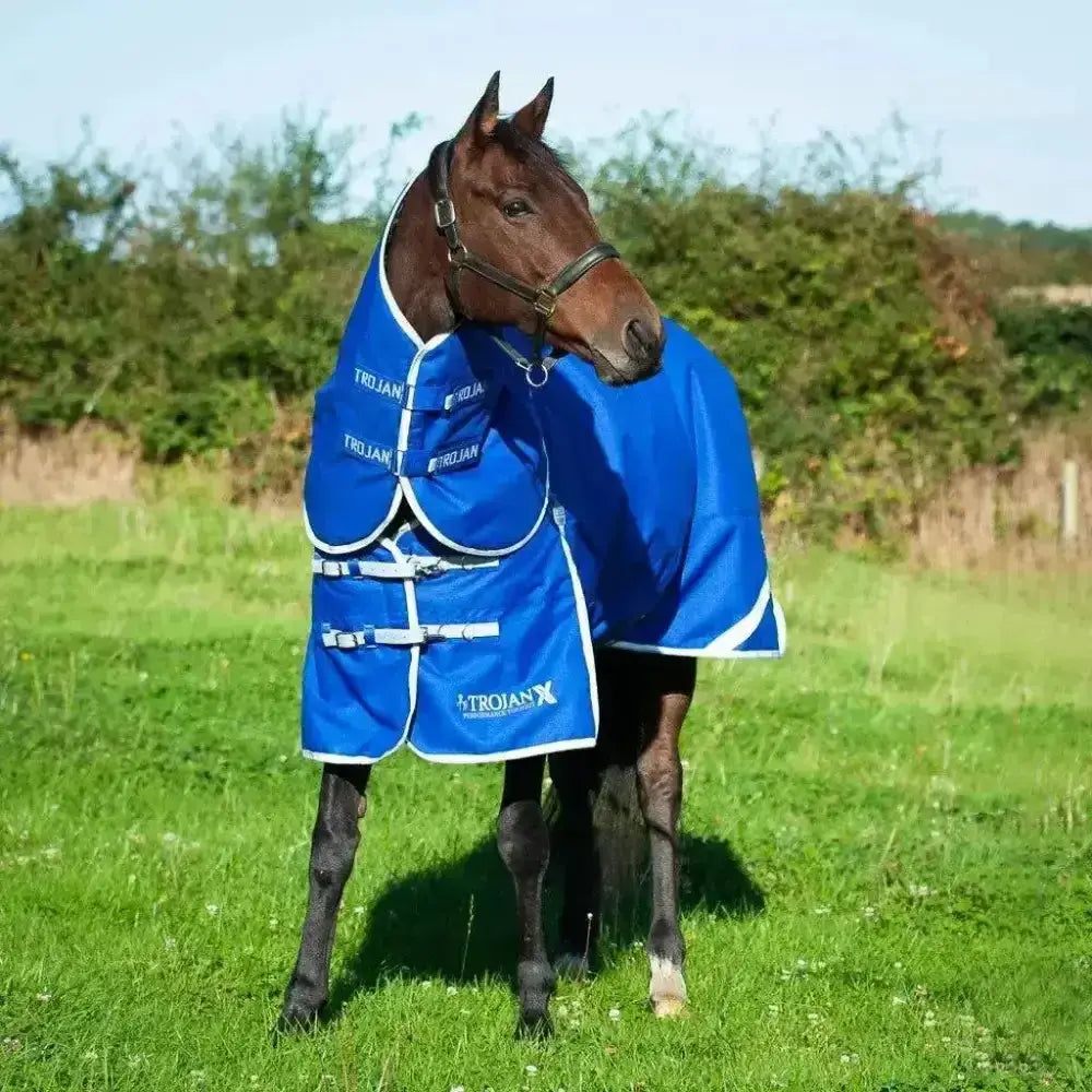 Blue gallop trojan xtra 300g heavy weight horse blanket with detachable neck white trim and adjustable straps