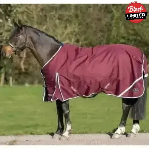 Gallop Trojan Xtra 50g Lightweight Standard Neck Turnout Rugs 5'6" Turnout Rugs