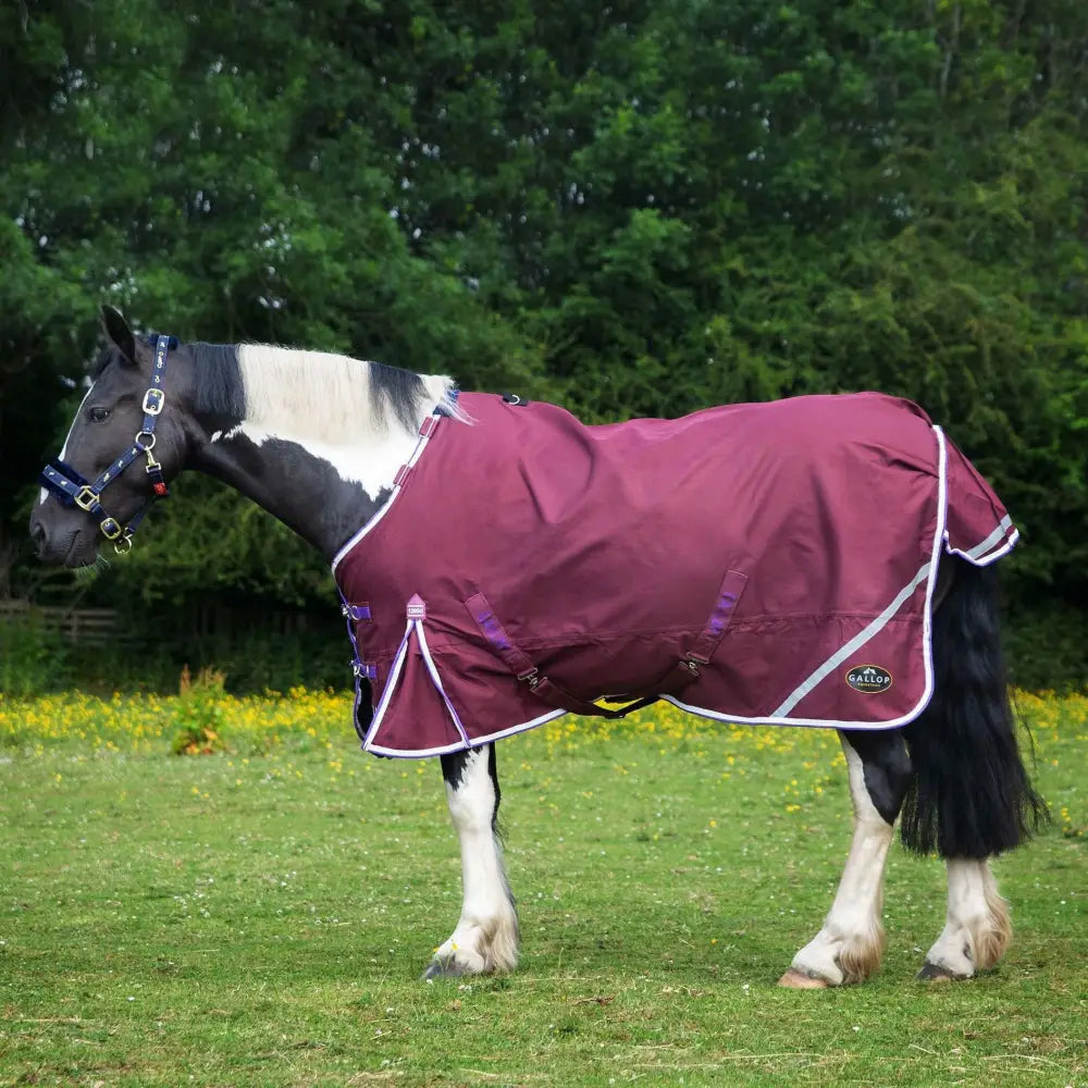 Maroon gallop trojan xtra duraproof lightweight turnout rug with white and purple trim for standard neck use