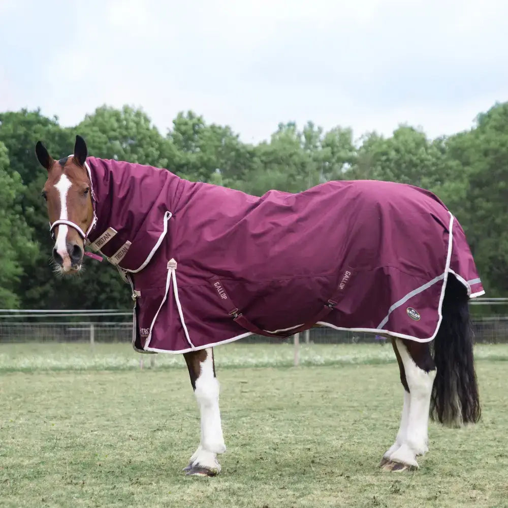 Maroon gallop trojan xtra 100g lightweight turnout rug combo with white trim and brand logos on back side