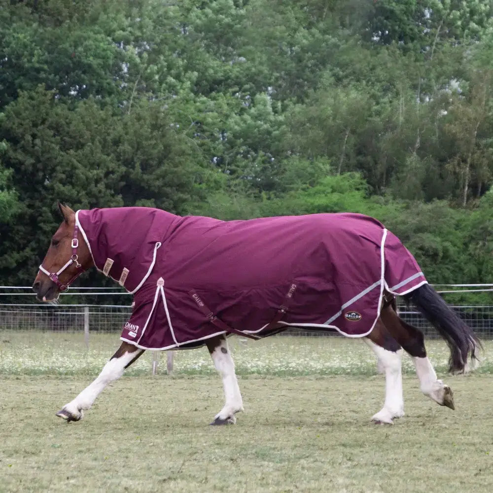 A maroon gallop trojan xtra 100g lightweight turnout rug combo with white trim designed for warmth and protection