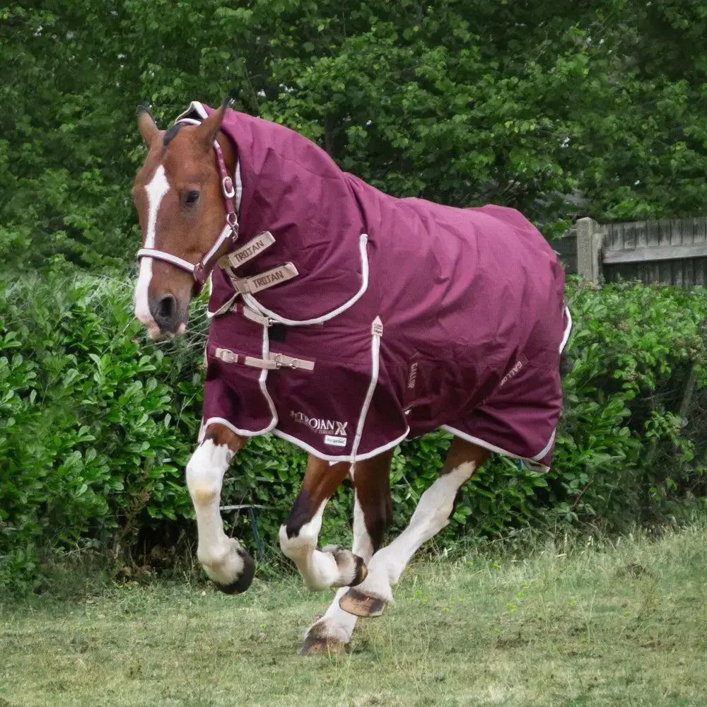 A maroon gallop trojan xtra 100g lightweight turnout rug combo with white trim and adjustable straps for horses