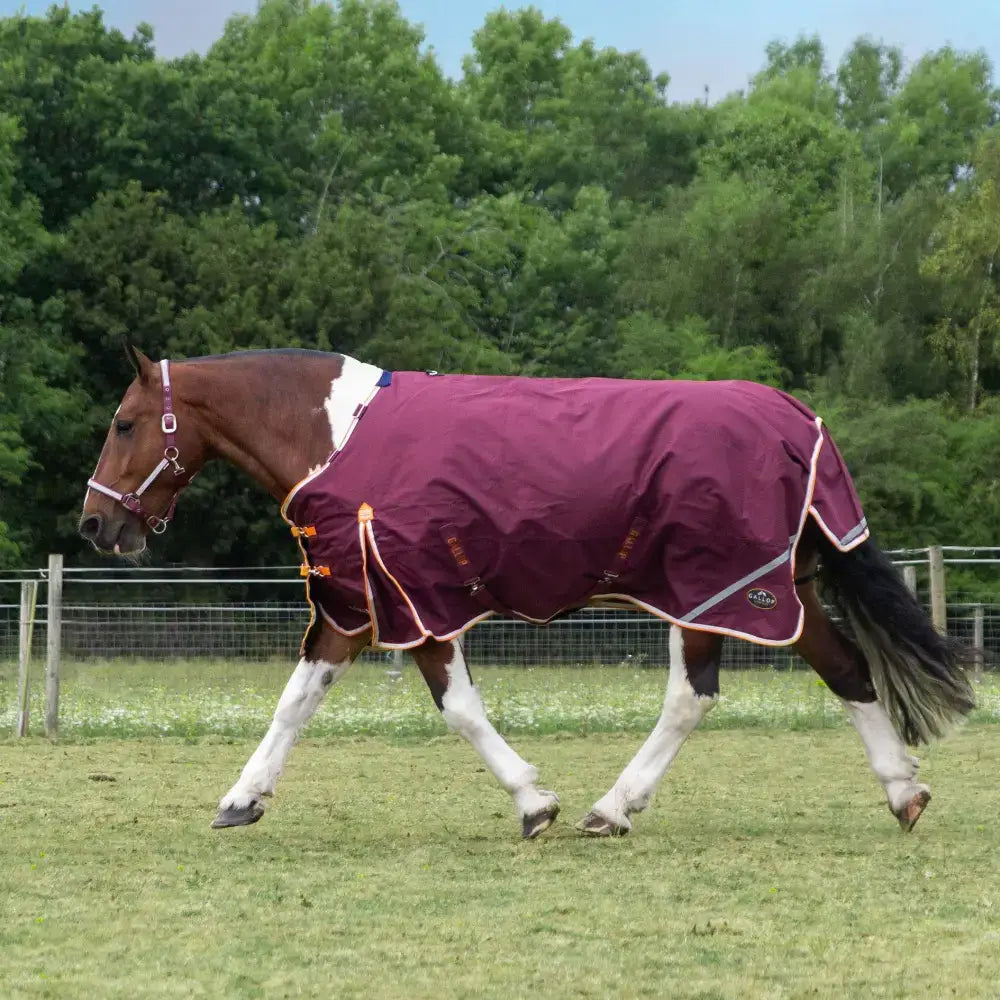 A maroon gallop trojan xtra duraproof 100g lightweight turnout rug with white and orange trim and logo on the side