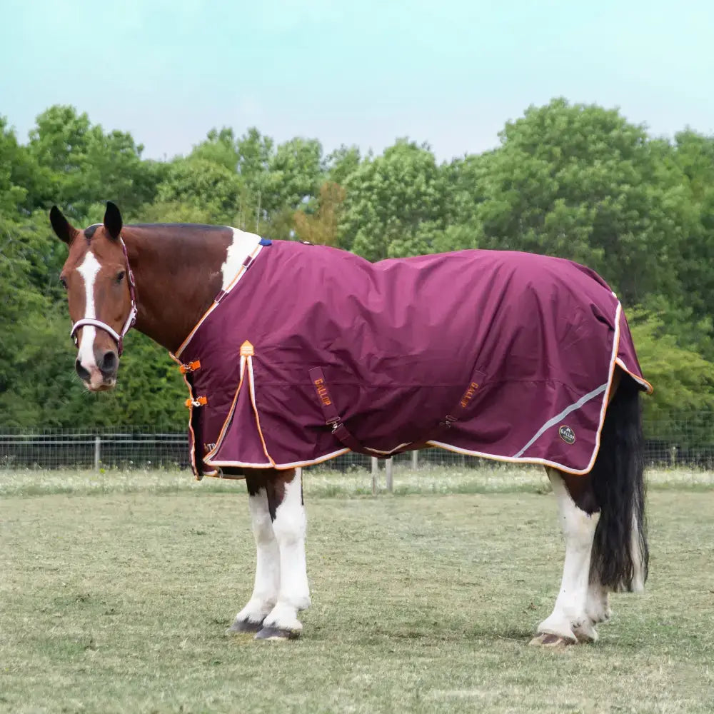 Maroon gallop trojan xtra duraproof 100g lightweight turnout rug with orange trim and reflective stripes showing side logo