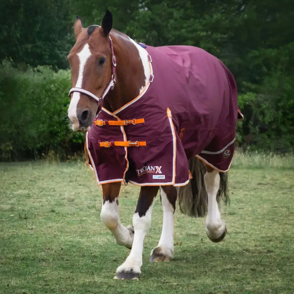 Maroon gallop trojan xtra duraproof 100g lightweight turnout rug with orange buckles and white trim standard neck
