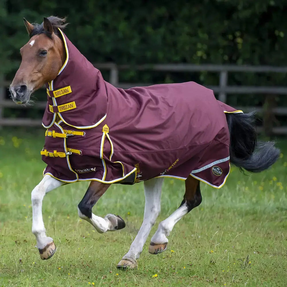 Maroon and yellow gallop trojan xtra duraproof 200g turnout rug medium weight with reflective trim