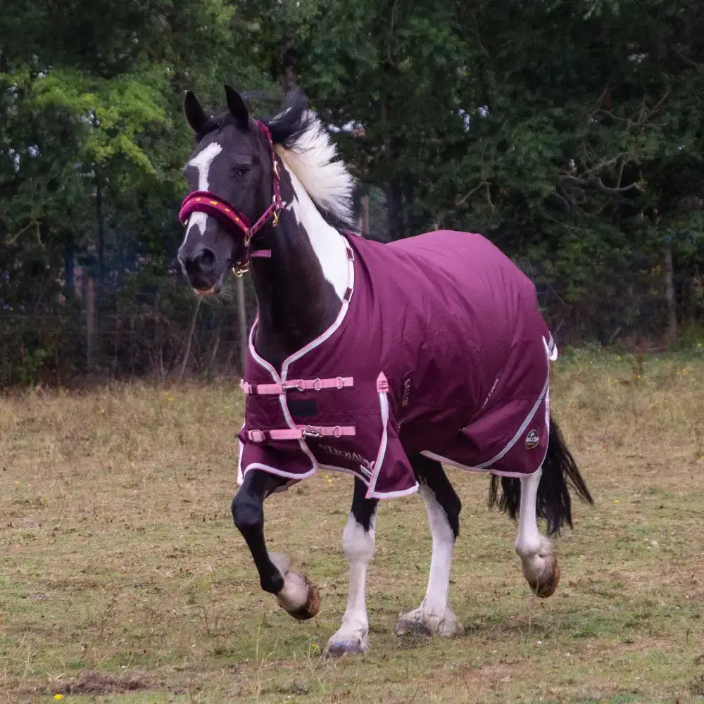 A maroon gallop trojan xtra duraproof 200g turnout medium weight horse blanket with pink trim and white logo on the side