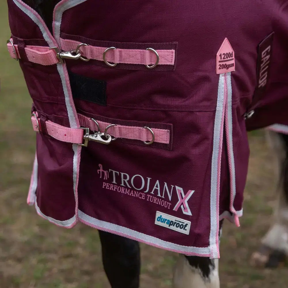 Maroon gallop trojan xtra duraproof 200g turnout rug with pink straps and silver trim medium weight standard neck
