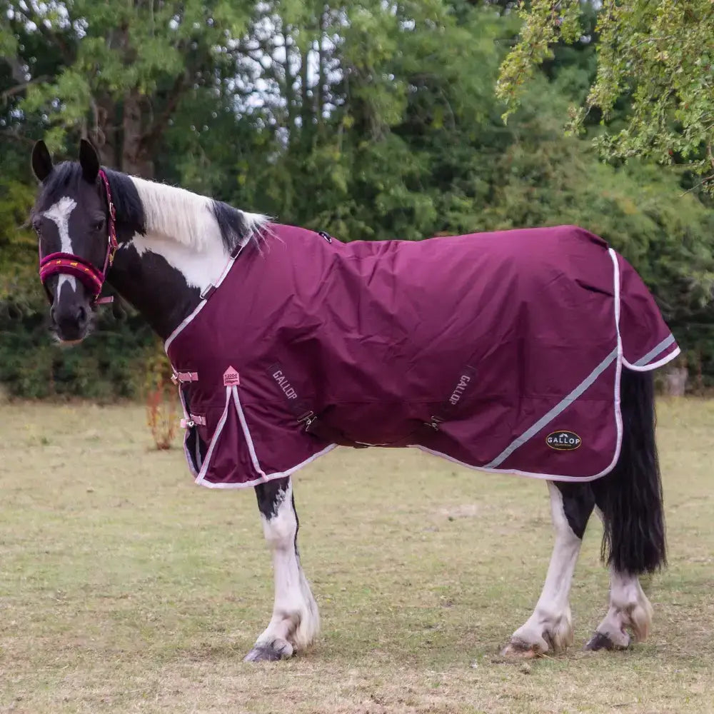 Maroon gallop trojan xtra duraproof 200g turnout rug with white trim and reflective stripes medium weight standard neck