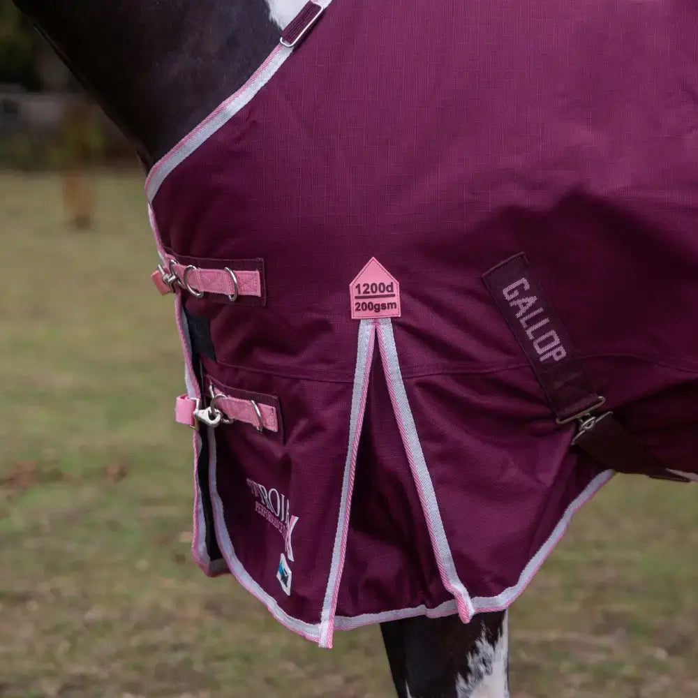 A maroon gallop trojan xtra duraproof 200g turnout rug with pink white trim and gallor brand strap