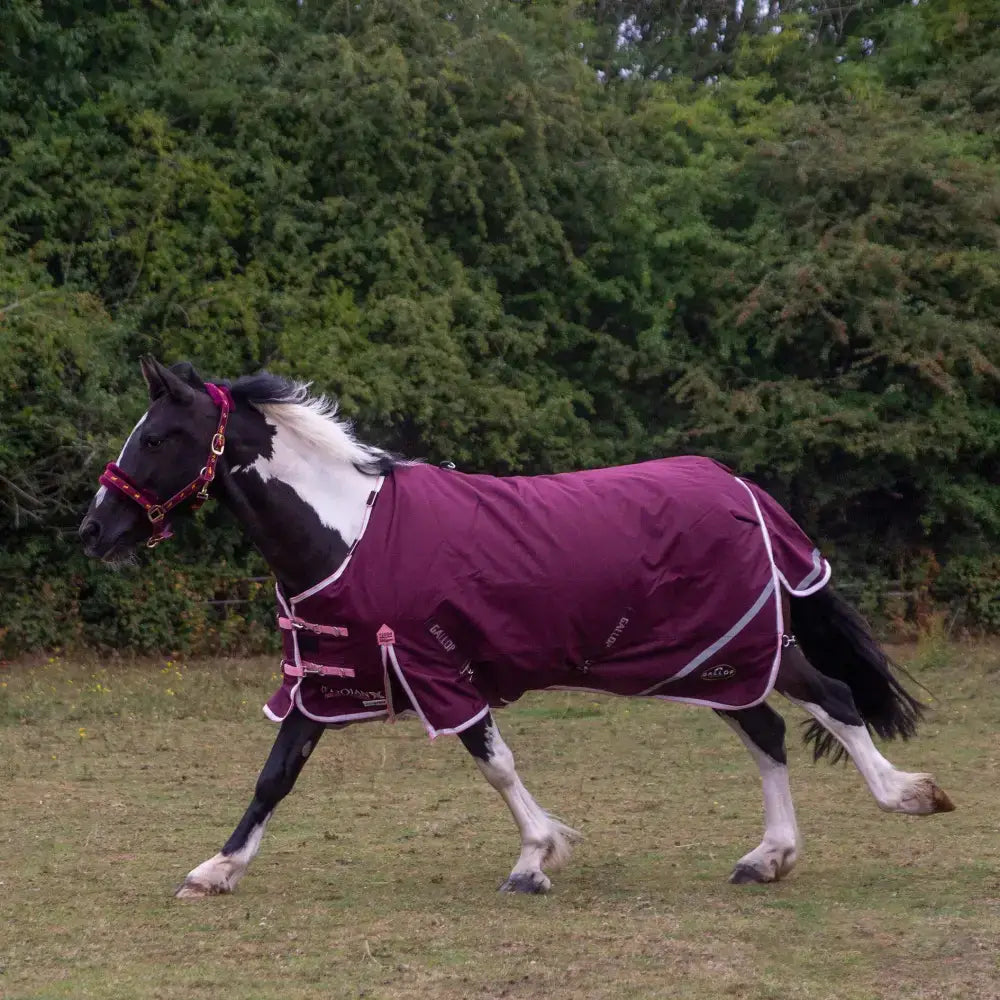 A maroon gallop trojan xtra duraproof 200g turnout rug with pink white trim and branded logo on the side