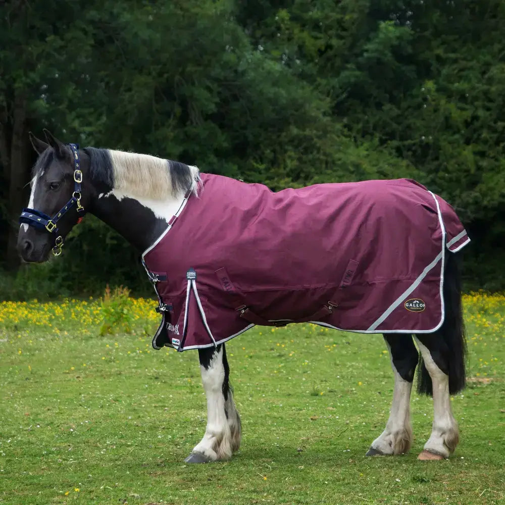 Maroon gallop trojan xtra 50g lightweight standard neck turnout rug with white trim and reflective stripes