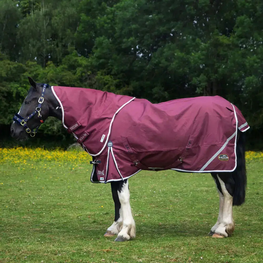 Maroon trojan xtra 50g lightweight standard neck turnout rug with white trim reflective stripes and brand logo on side