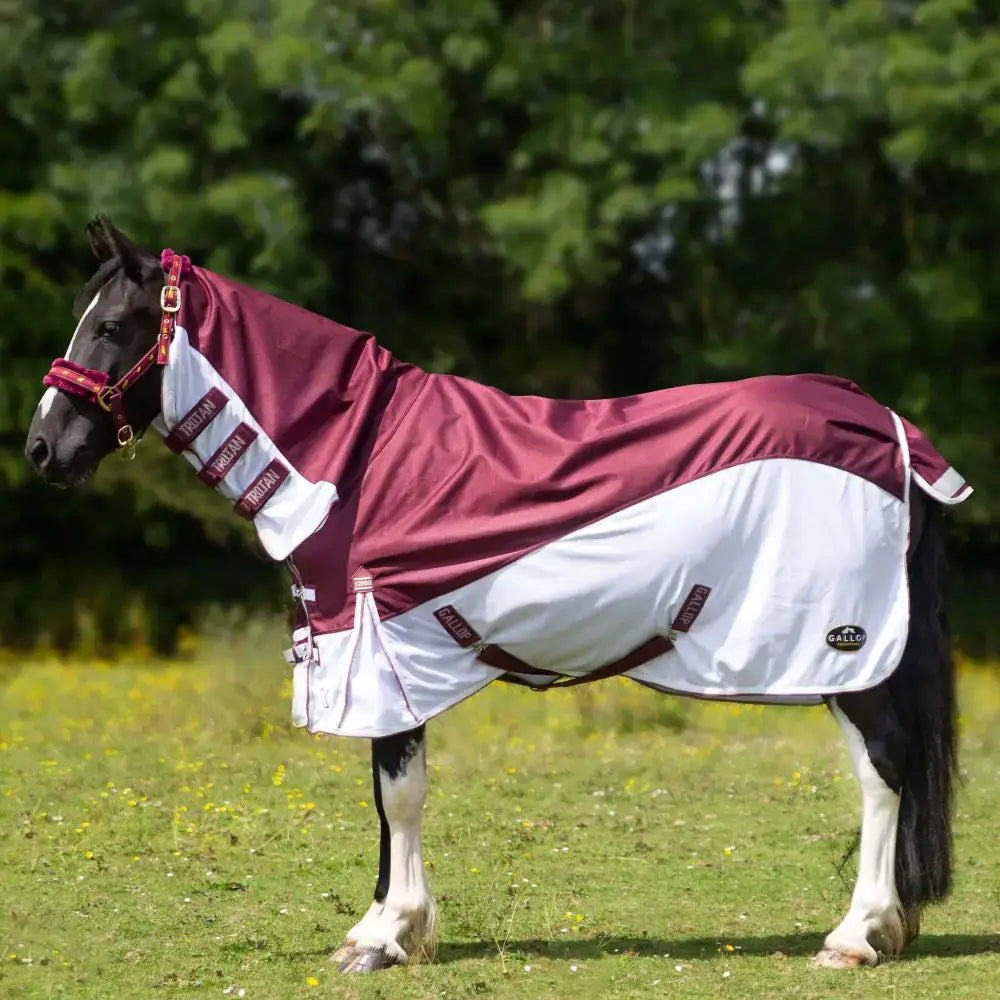Maroon and white gallop trojan xtra duraproof hybrid combo horse blanket with reflective stripes and waterproof fly rug