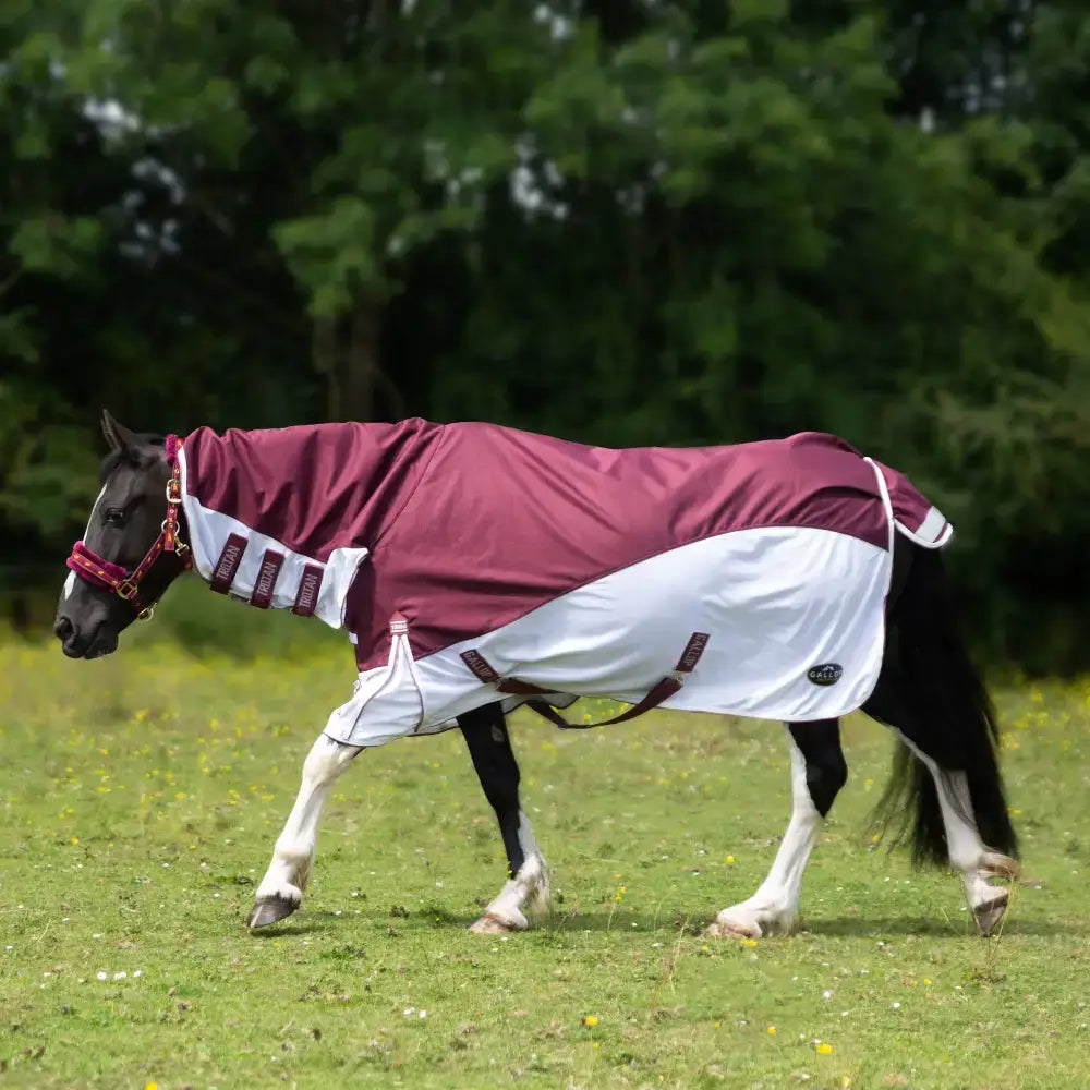 Maroon and white gallop trojan xtra duraproof hybrid combo waterproof fly rug with adjustable straps and logo on side