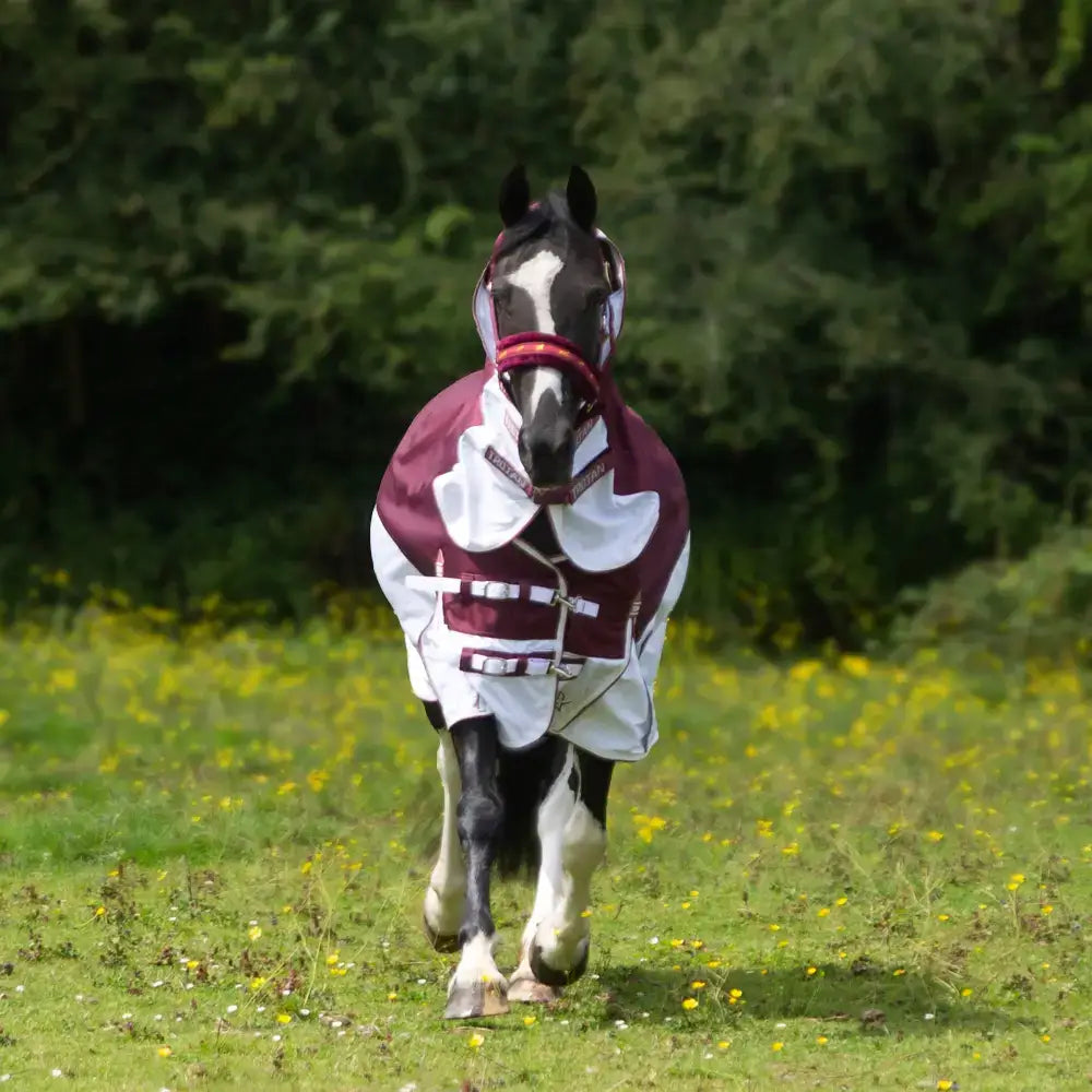 A black and white horse wearing a maroon and white gallop trojan xtra duraproof hybrid combo waterproof fly rug